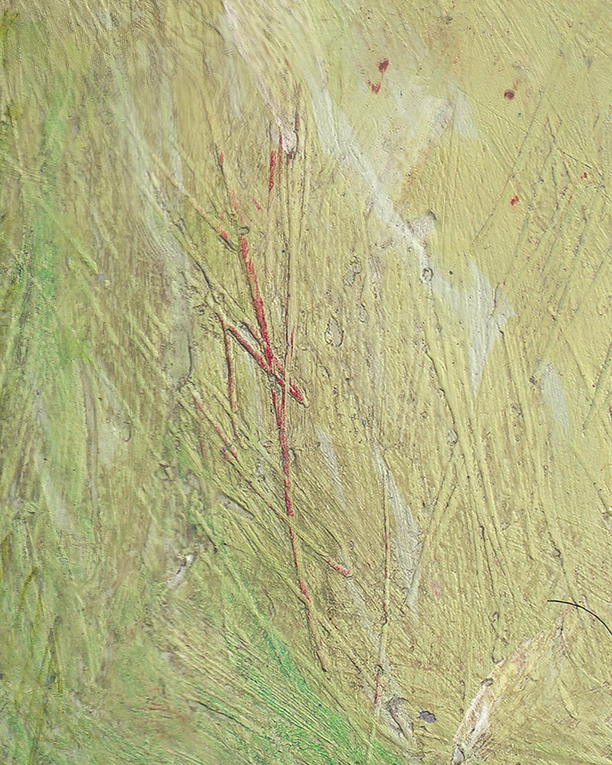 Artistic depiction of a spider on a textured green background