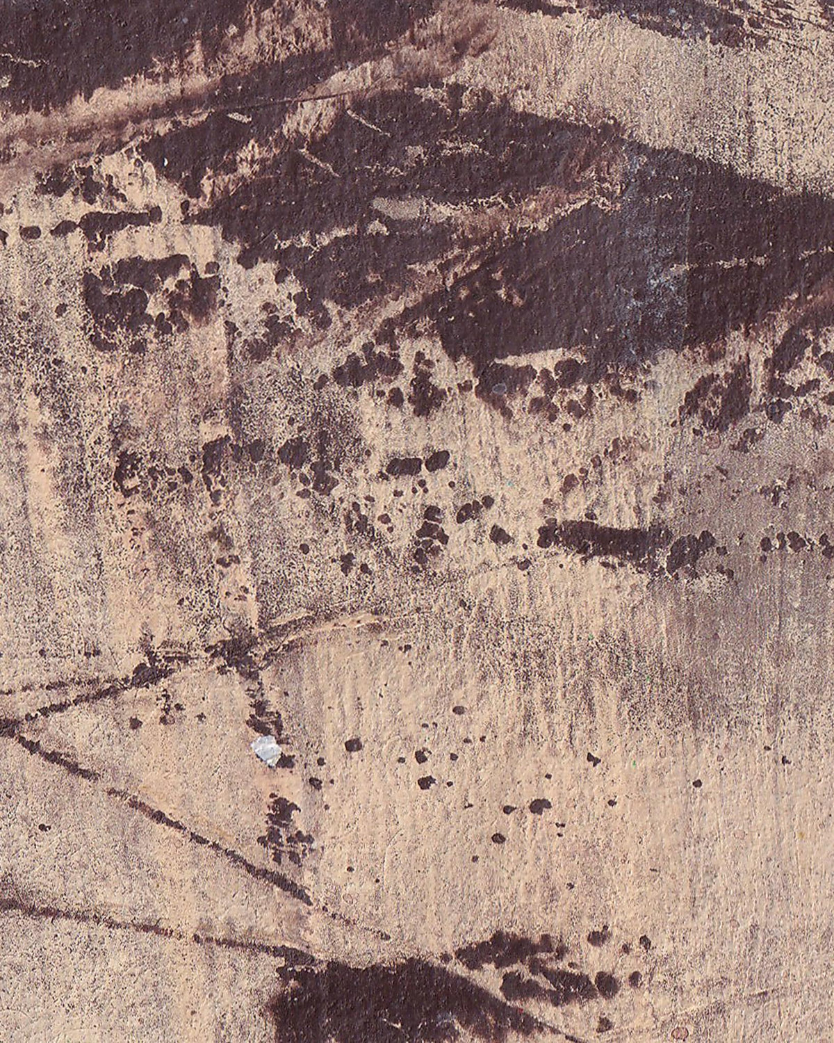 Aerial view of a landscape with dark patches and a small white object on a beige background